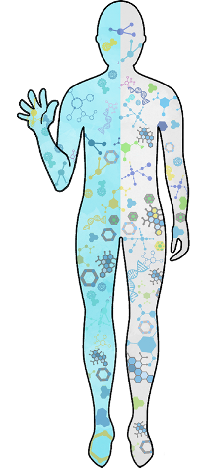 A head to toe analysis