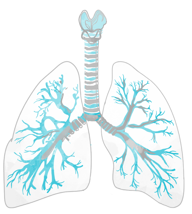 Lung Cancer