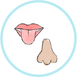 Change in Taste/Smell